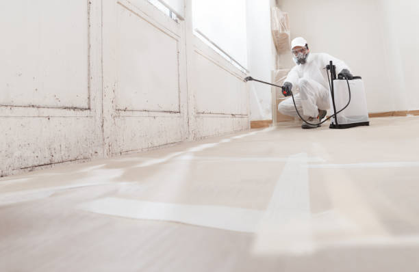 24/7 Emergency Mold Remediation experts in Union, NJ